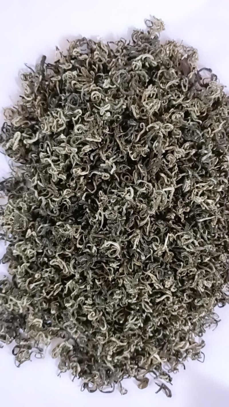 高山绿茶
