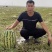 宁夏硒砂瓜