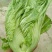 玻璃生菜