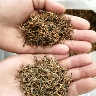 茶叶，大量批发红茶，绿茶。高中低档，自产自销，价格美丽。