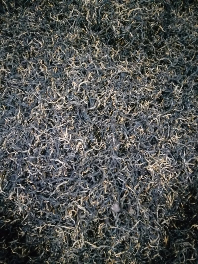 茶叶，大量批发红茶，绿茶。高中低档，自产自销，价格美丽。