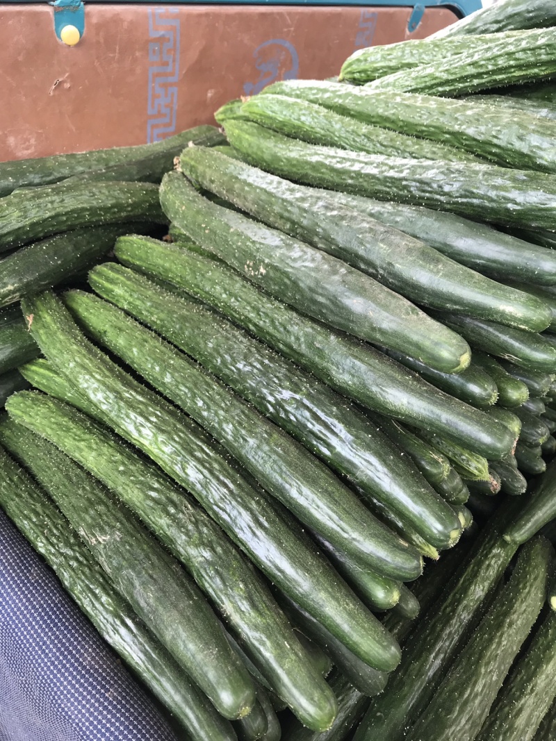 黄瓜，密刺黄瓜、顶花带刺、保证质量、诚信经营