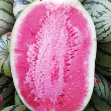 瓜果类