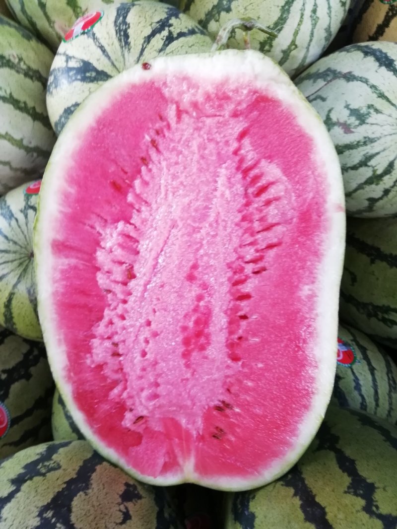 瓜果类