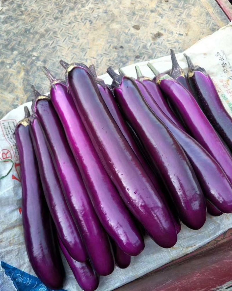 云南建水精品大量上市有需要的老板联系我量大从优