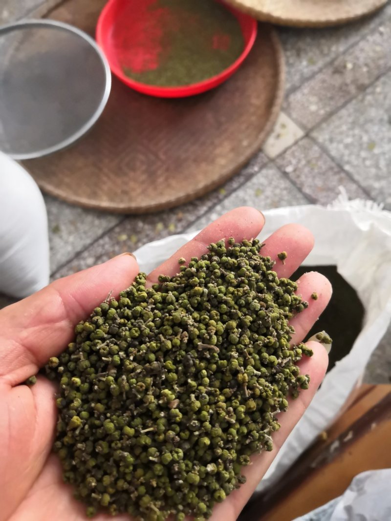 吴茱萸