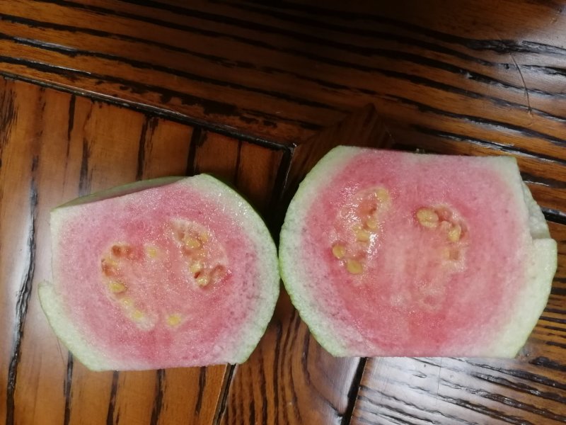 红心番石榴