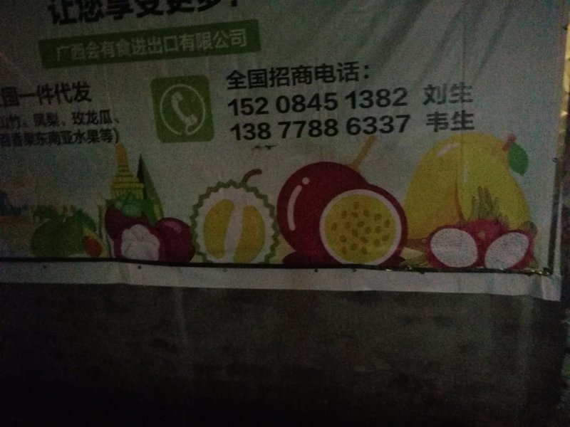 红心番石榴
