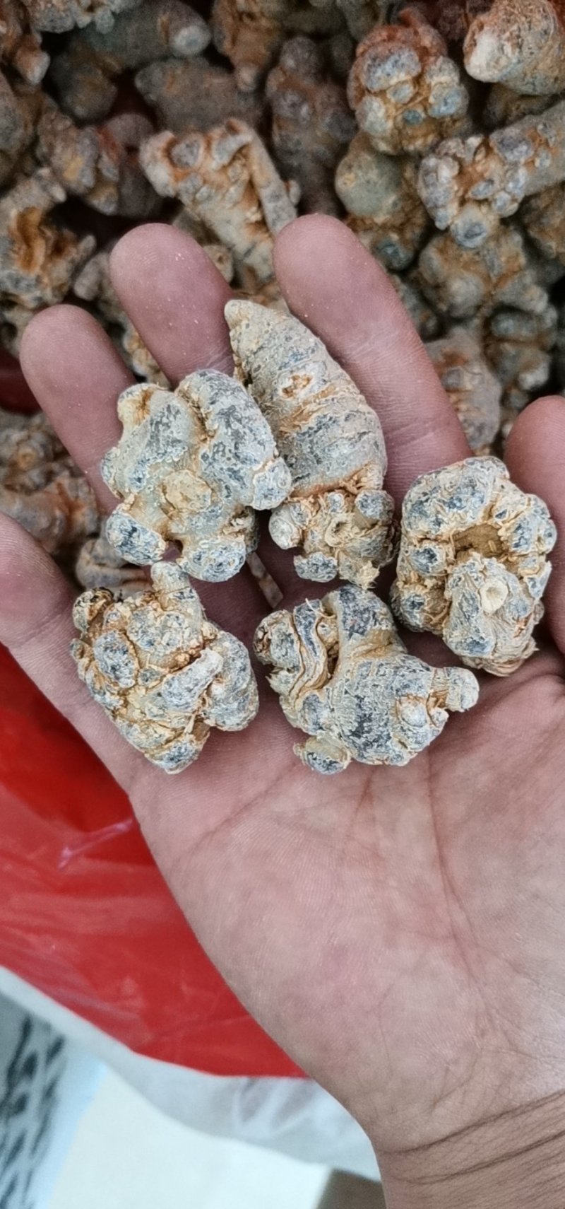 三七云南文山三七全干货三七规格齐全