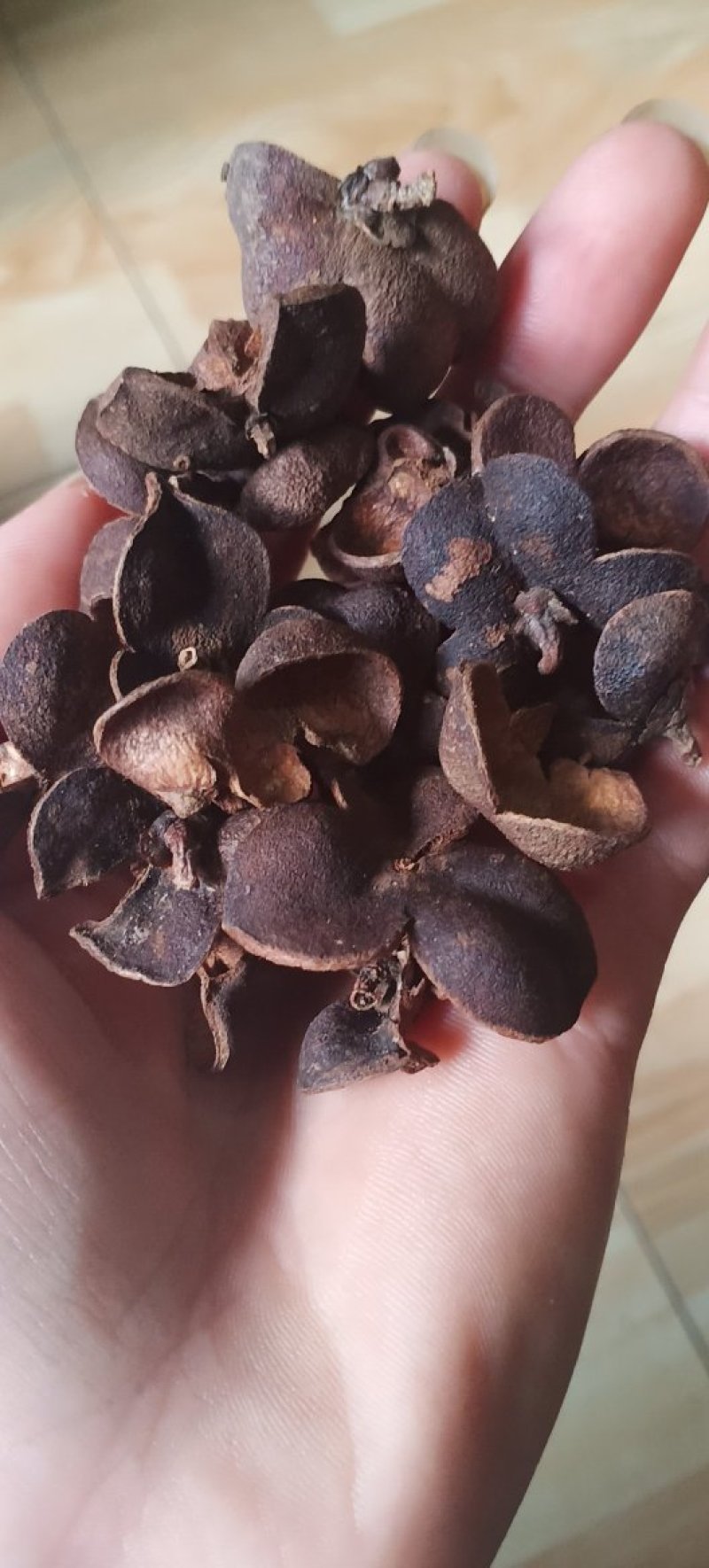 红茶果壳，广西金秀大瑶山