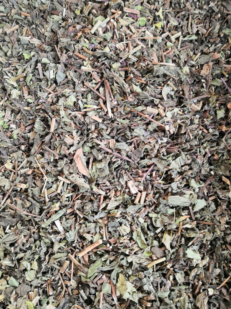 无硫薄荷原色薄荷叶薄荷油新货各种草药
