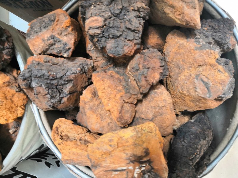 桦树茸白桦茸无硫桦褐孔菌量大从优