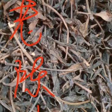 红茶老陈茶，广西金秀大瑶山
