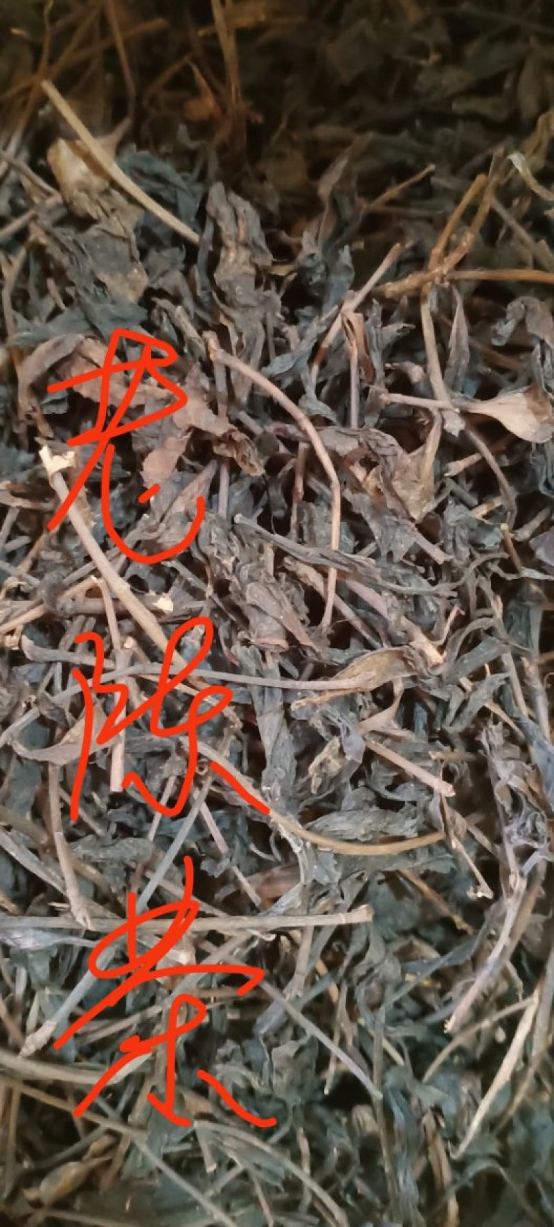 红茶老陈茶，广西金秀大瑶山