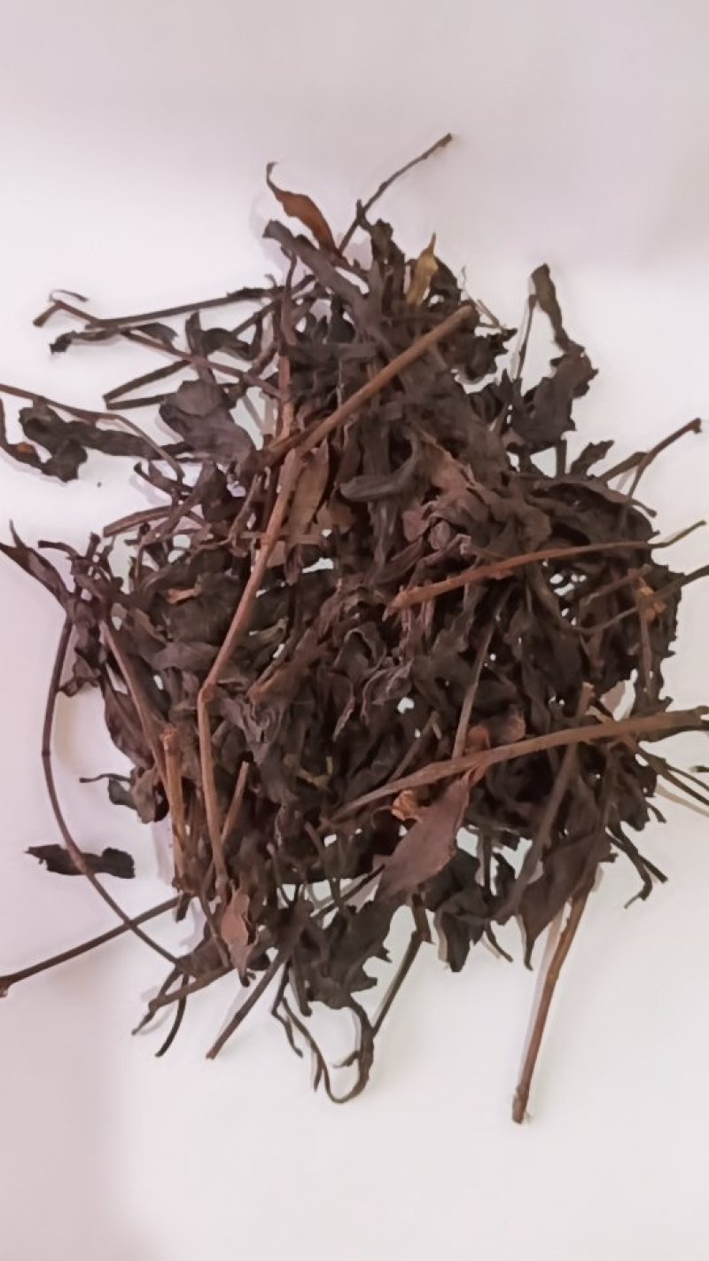 红茶老陈茶，广西金秀大瑶山