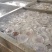 黄海海蜇绵蜇海蜇头