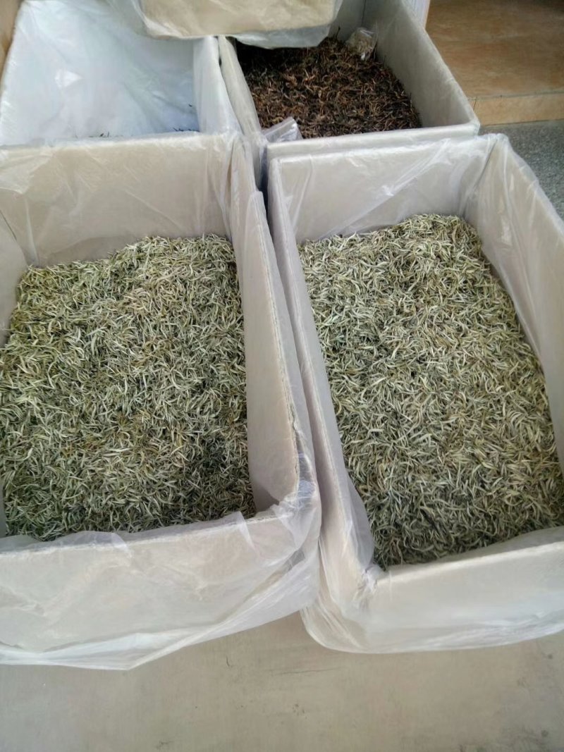 勐海县布朗生茶大叶种、台地茶、苦茶。自产自销普洱生茶。