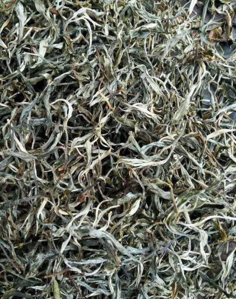勐海县布朗生茶大叶种、台地茶、苦茶。自产自销普洱生茶。