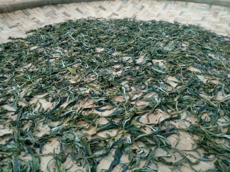 勐海县布朗生茶大叶种、台地茶、苦茶。自产自销普洱生茶。
