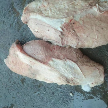 奶渣