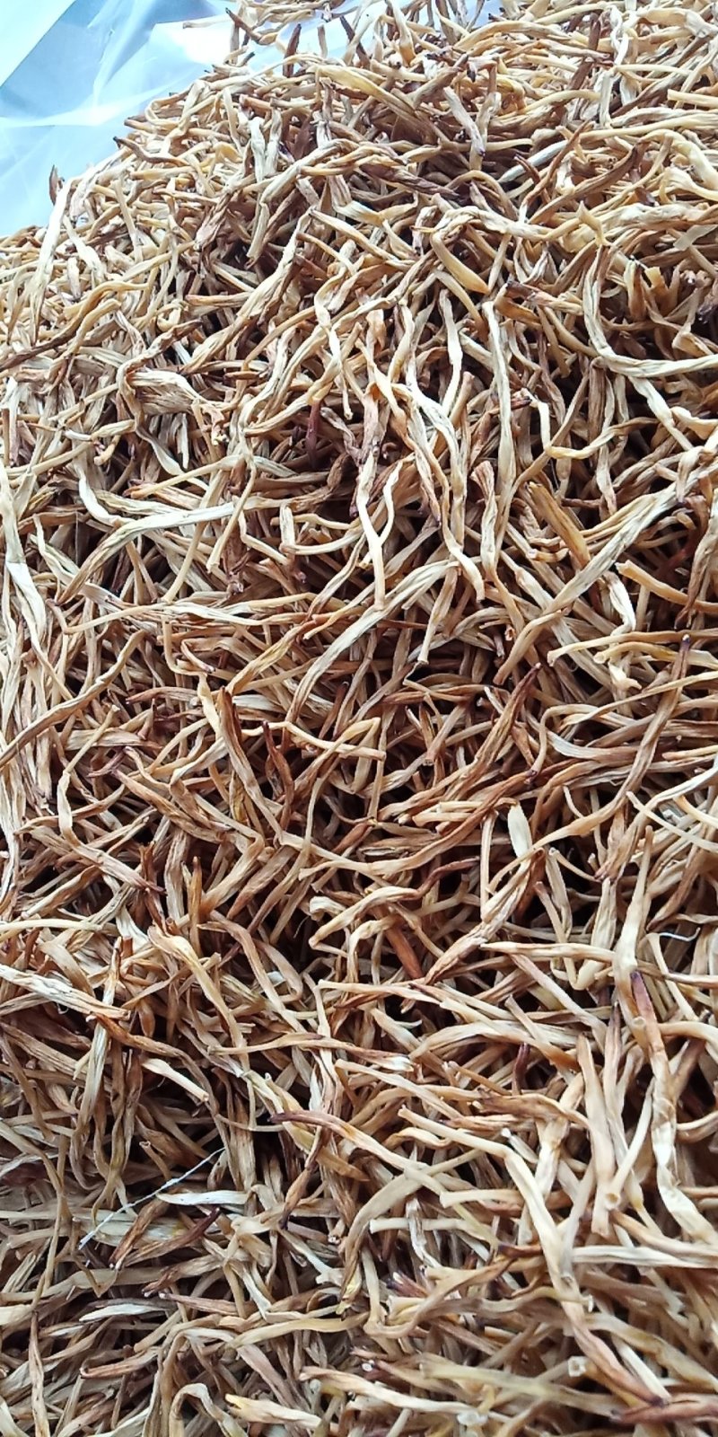 大同广灵黄花菜，大量上市