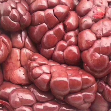 牛腰子