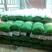 开心绿毛豆-基地直供-保证质量-货源充足