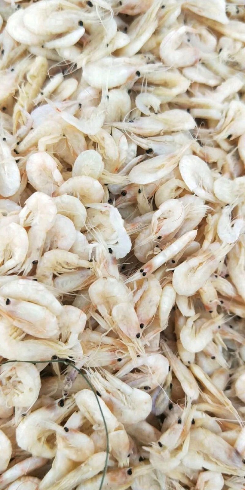 现有价格亲民，油炸膨化虾皮（麦杆虾）勾子虾颜色漂亮