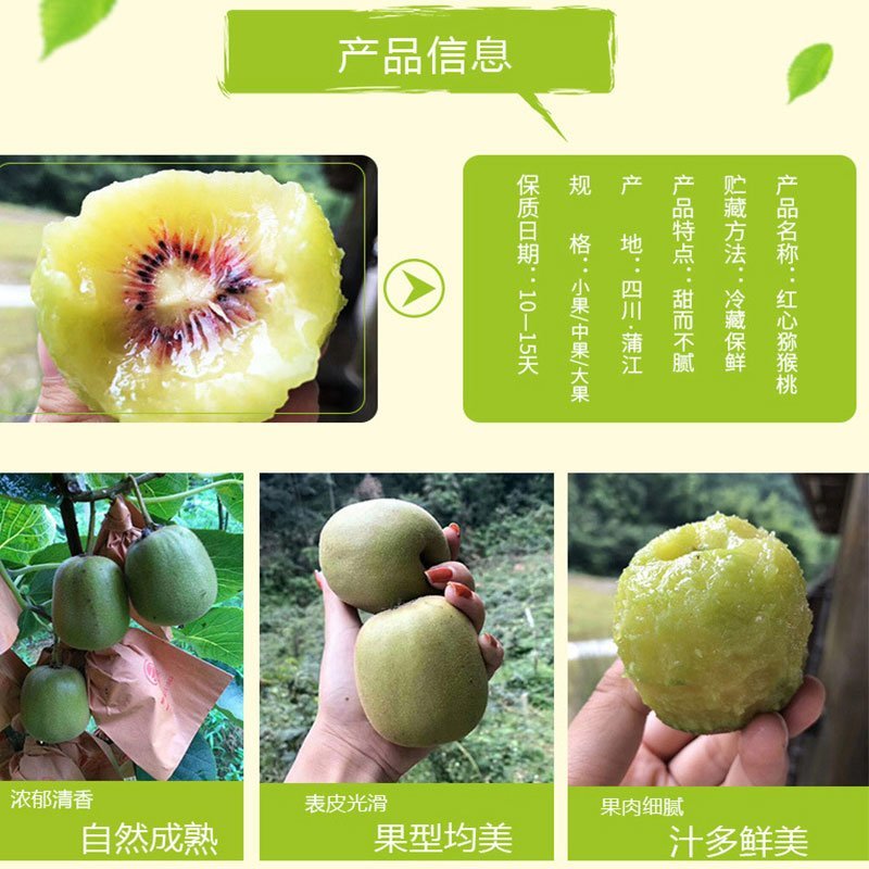 红心猕猴桃30个粒16.9全国诚招代理电商商超批发
