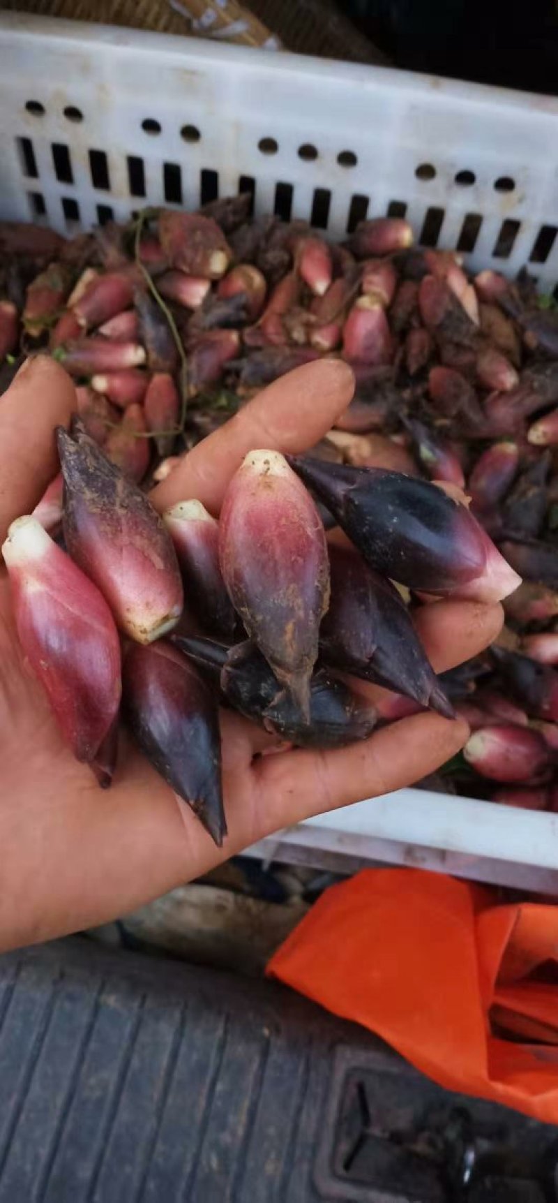 蔬菜