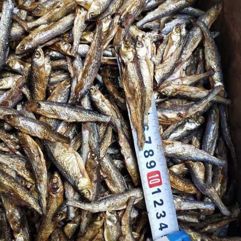 湖南特产自制火焙鱼干