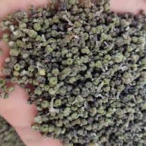 吴茱萸新货浙江小花关书药材批发各种规格中药