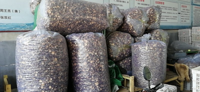 干香菇基地直供一手货源品质保证诚信经营对接批发商