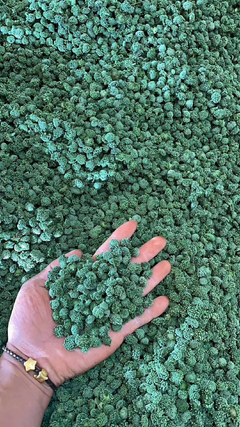 包邮文山三七（三七花）特级三年花，色青无硫纯净货