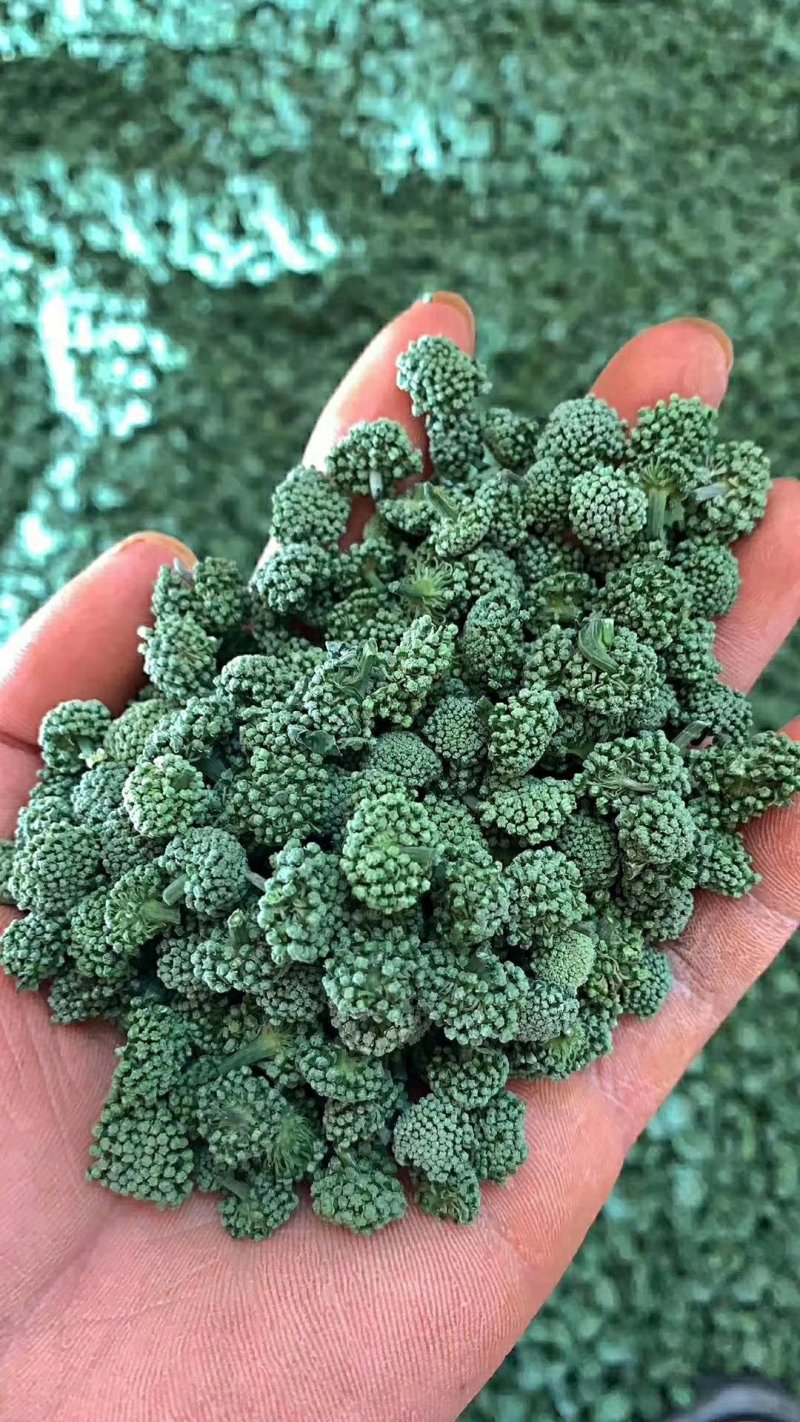 包邮文山三七（三七花）特级三年花，色青无硫纯净货