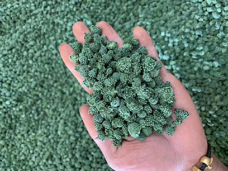 包邮文山三七（三七花）特级三年花，色青无硫纯净货