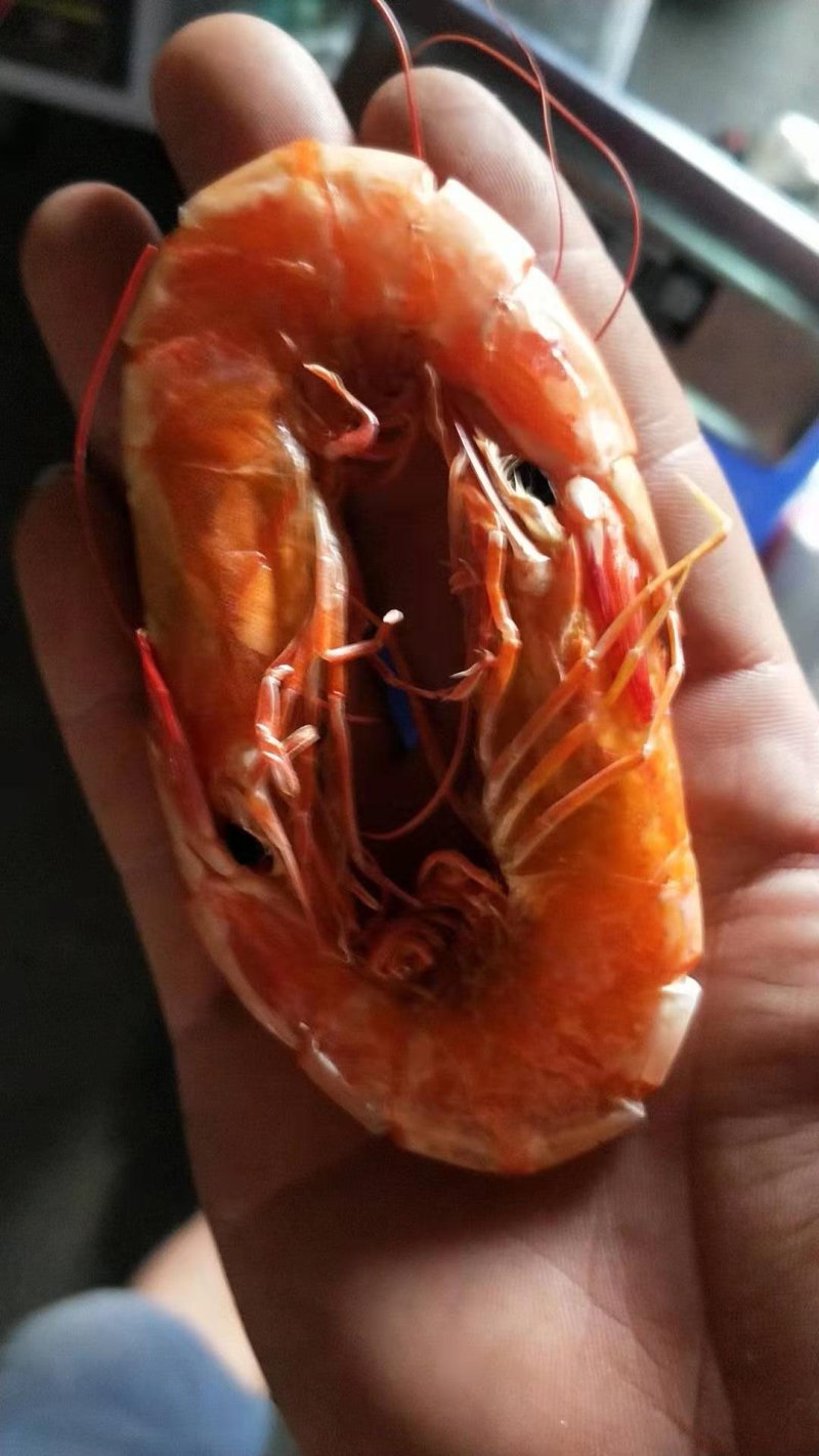 烤虾干