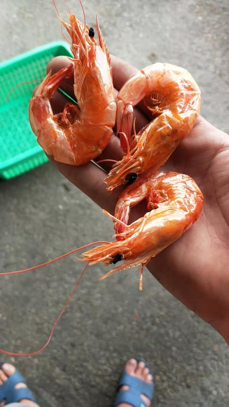 烤虾干