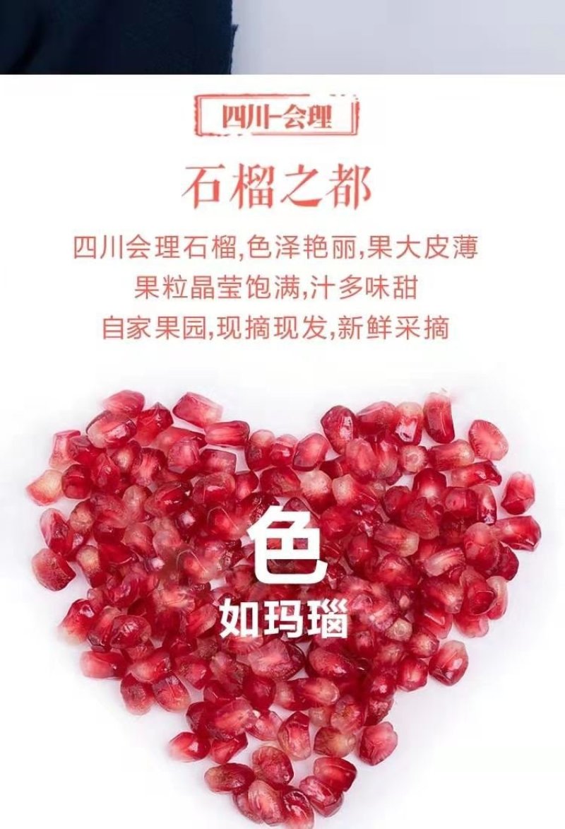 突尼斯软子石榴