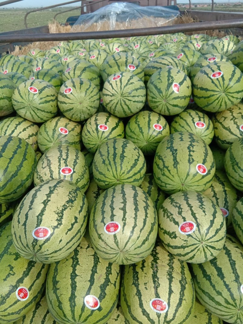 硒砂瓜，又名石头瓜，含糖量15%以上，万亩产地，宁夏银川
