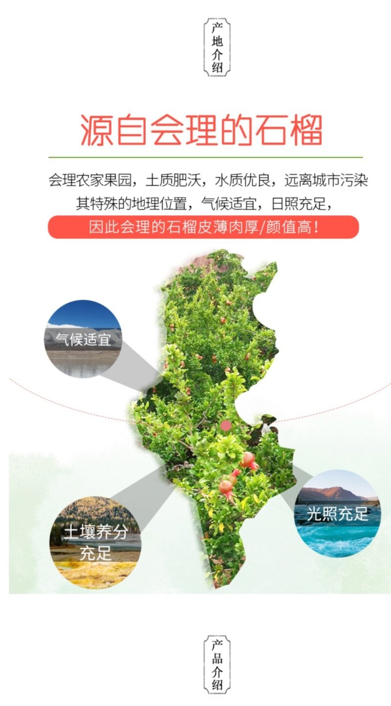 会理软籽石榴，一件代发供应电商，突尼斯软籽石榴顺丰包邮