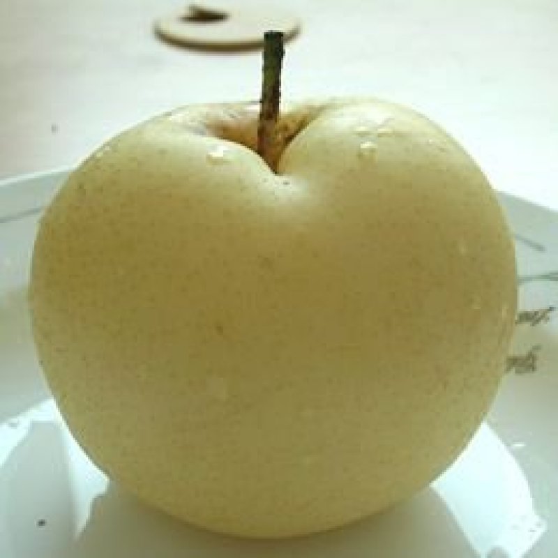 黄金梨