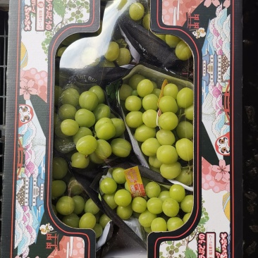 讲究内在美的阳光玫瑰我很丑可是我们很香甜