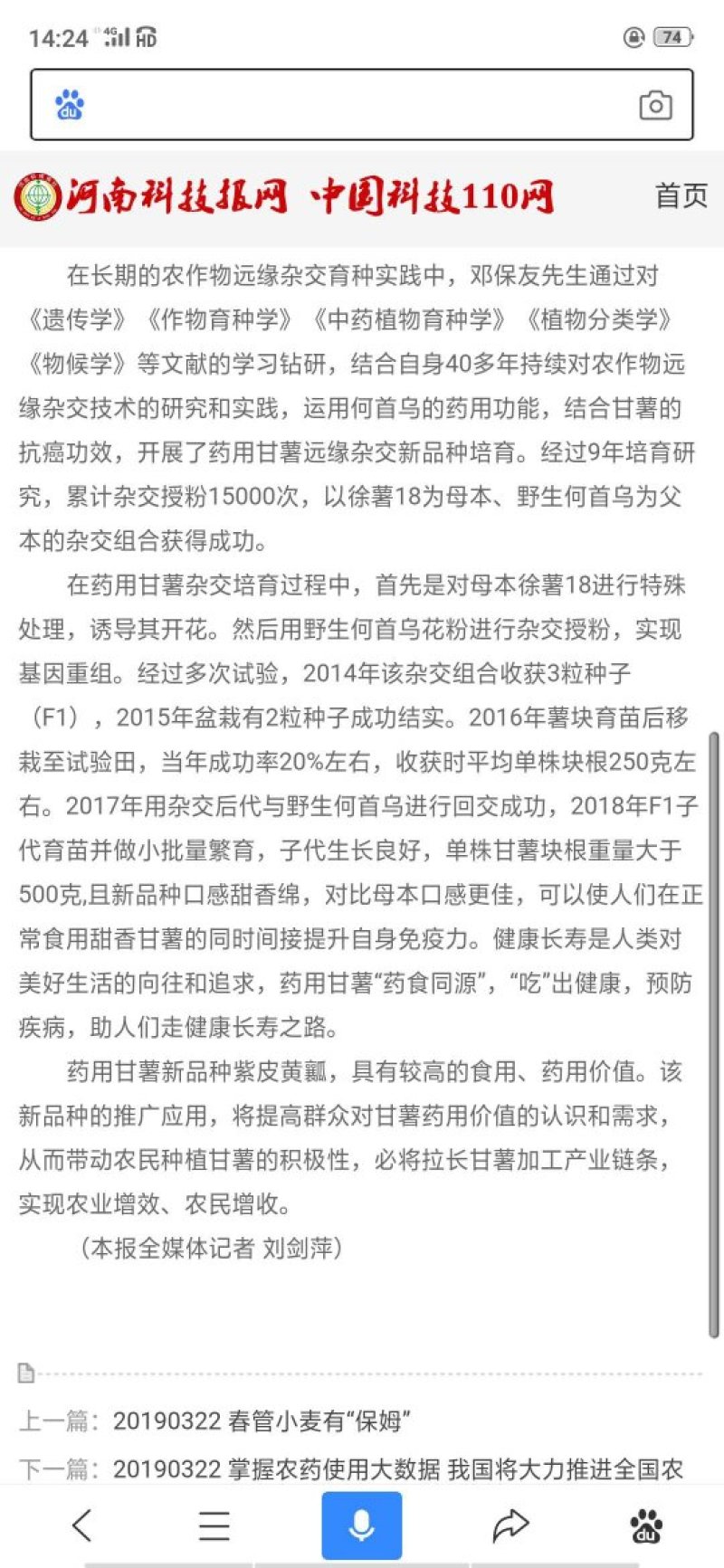 何首乌红薯