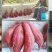 何首乌红薯