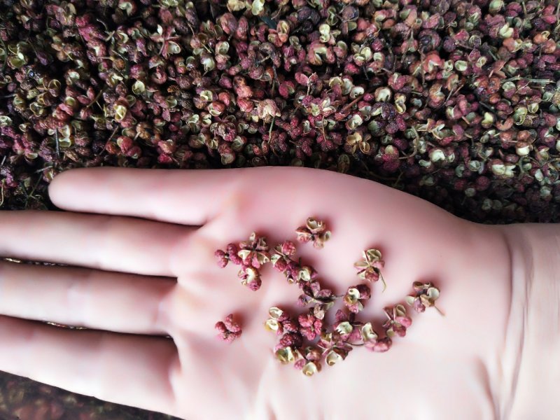 花椒/韩城大红袍花椒/特级开口率好麻度好需要老板电话