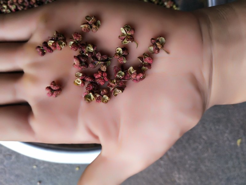 花椒/韩城大红袍花椒/特级开口率好麻度好需要老板电话