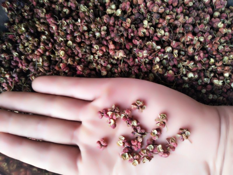 花椒/韩城大红袍花椒/特级开口率好麻度好需要老板电话