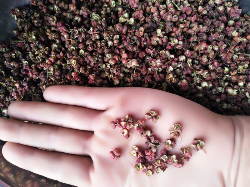 花椒/韩城大红袍花椒/特级开口率好麻度好需要老板电话