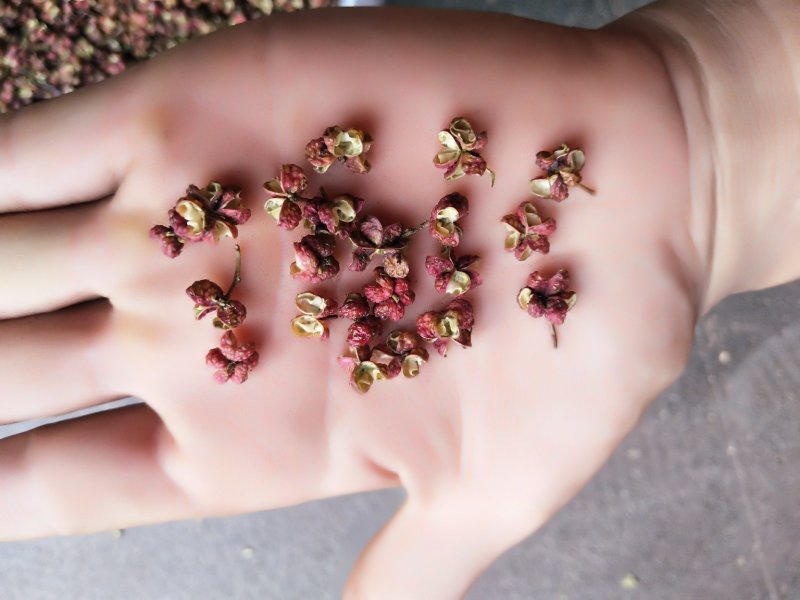 花椒/韩城大红袍花椒/特级开口率好麻度好需要老板电话